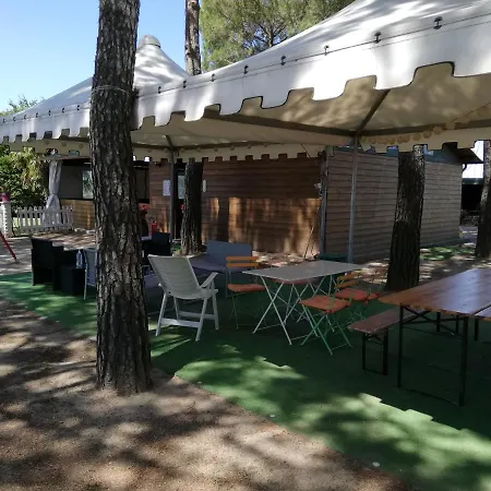 Boschetto Del Castiglione del Lago