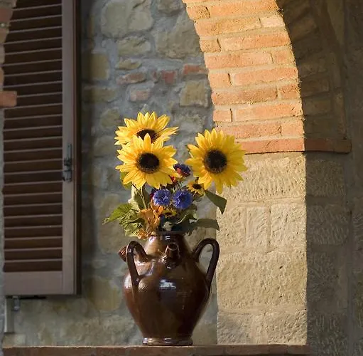 Boschetto Del Agroturismo *