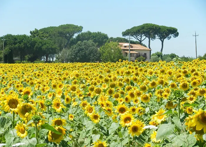 Agroturismo Boschetto Del